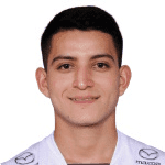 Y. Erique